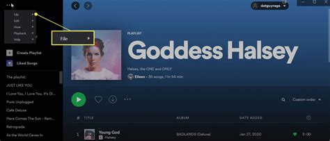 How To Go Offline On Spotify