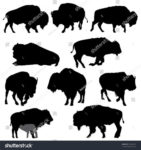 Set Of American Bison Silhouettes Vector Image 253484572 Shutterstock