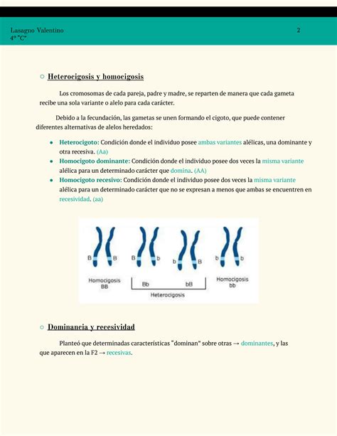 Solution Resumen Gen Tica Mendeliana Gen Tica Studypool