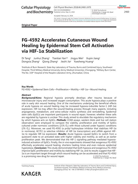 PDF FG 4592 Accelerates Cutaneous Wound Healing By Epidermal Stem