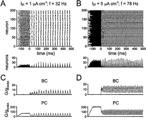 A Realistic Interneuron Network Model With Fast Inhibitory Synapses