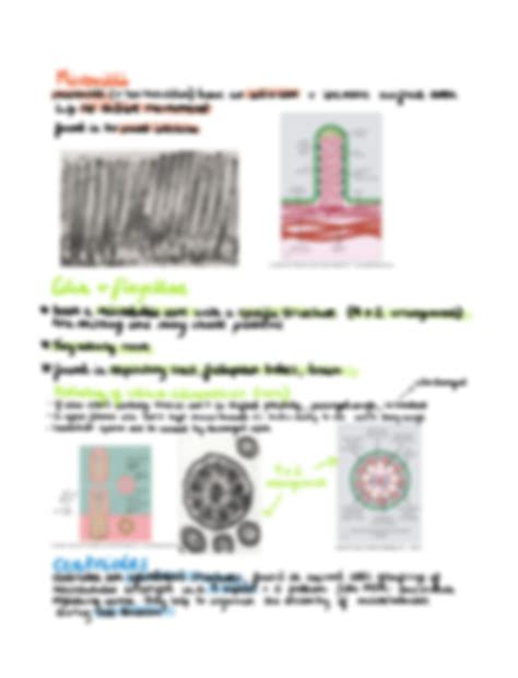 Solution Introduction To Cells Tissues And Organs Medicine Week