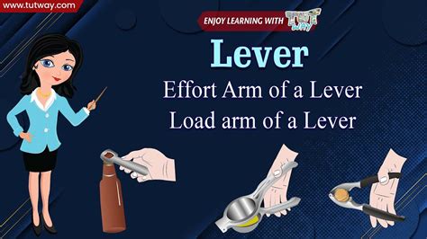 Lever Mechanical Advantages Of Lever Examples Of Lever Effort Arm