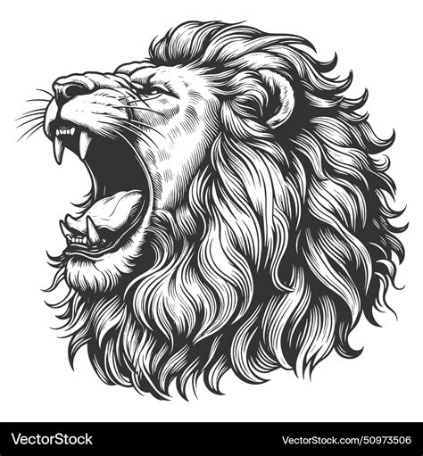 Roaring lion engraving sketch Royalty Free Vector Image