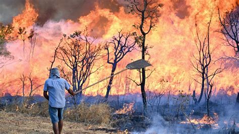 Declaran Emergencia Por Los Incendios En Los Departamentos Peruanos De Amazonas San Martín Y