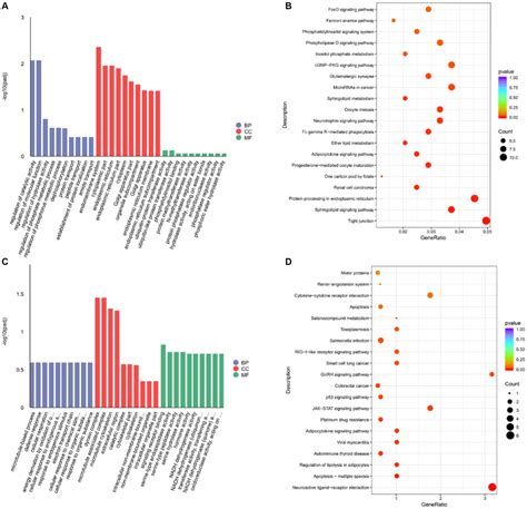 Frontiers Transcriptome Analysis Revealed The Characteristics And