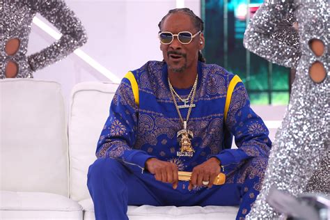 Sexual Assault Lawsuit Against Snoop Dogg Withdrawn Thegrio