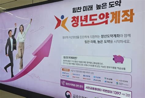 청년희망적금 만기→도약계좌 가입하면최대 856만원 수익 노컷뉴스