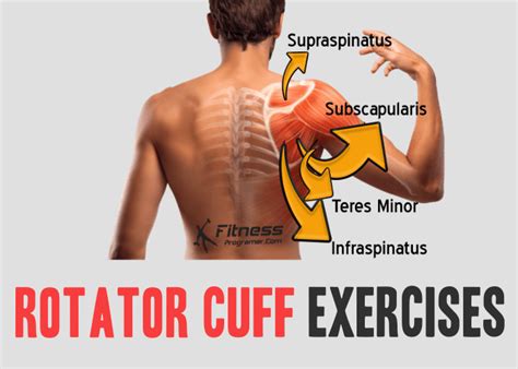 Best Rotator Cuff Exercises | Workout Planner