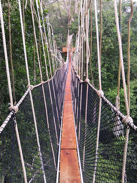 Ghana Canopy Walk: Kakum National Park - Capturing Joy with Kristen Duke