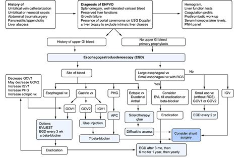 Algorithmic Approach For The Diagnosis Of Ehpvo And Management Of