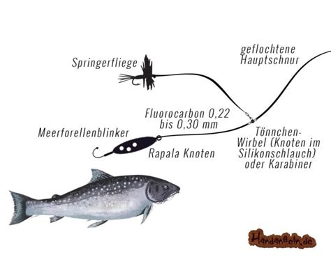 Top Forellen Montagen F R Deinen N Chsten Ansitz Https Handangeln De