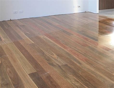 Spotted Gum Timber Flooring Archives Sanding And Polishing Staining