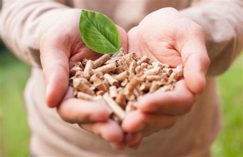 What You Need To Know About Biomass Energy Saving Trust