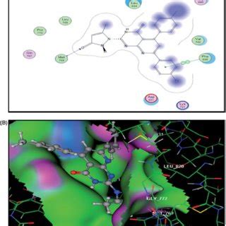 The Proposed Binding Mode Of Compound A Docked In The Active Site Of