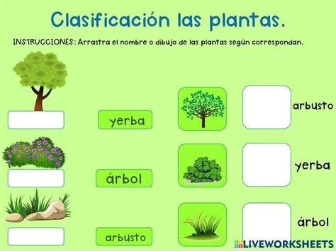 Worksheets Texts Spanish Classroom Activities Plant Parts Reading