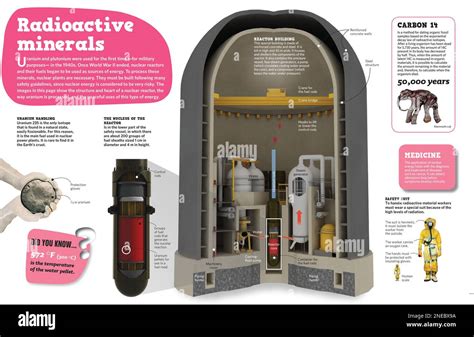 Infographic On Radioactive Minerals Uranium And Plutonium And On