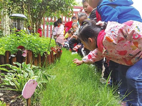 认识植物触摸秋天江南时报