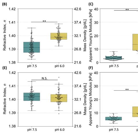 The Effect Of Osmotic Stress And Adaptation On Yeast Cells A C