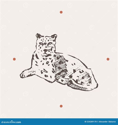 Ilustra O Realista Do Leopardo Desenhado Um Vetor Ilustra O Do Vetor