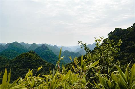 Cat Ba National Park, Vietnam: The Ultimate Travel Guide