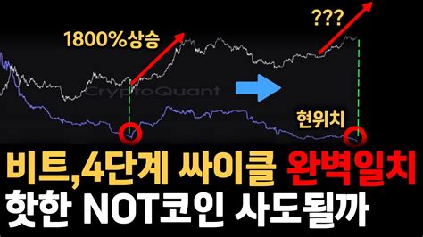 알트코인 대체 언제 상승할것인가 Youtube