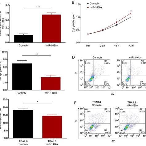 Impact Of MiR 146b Overexpression On Cell Proliferation And Apoptosis