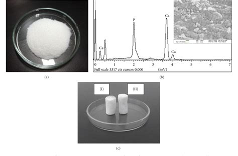 Figure From Fabrication And In Vitro Evaluation Of Nanosized