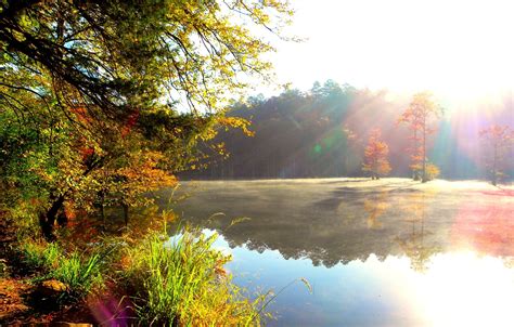 Light Sun Modulations Lake Wood Autumn Paints Colors Bright Wallpaper Coolwallpapers Me