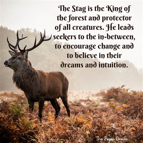 The Stag | Animal meanings, Animal spirit guides, Spirit animal meaning