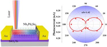 Self Powered Ultra Broadband And Polarization Sensitive