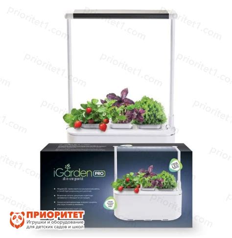Компактный смарт-сад iGarden PRO с подсветкой купить в интернет ...