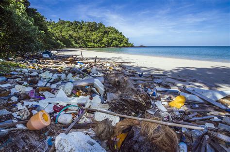How Ocean Currents Create Trash Islands and Impact Wildlife