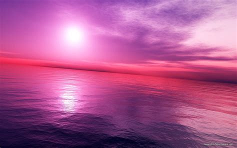 Pink Sunset Wallpaper HD - WallpaperSafari