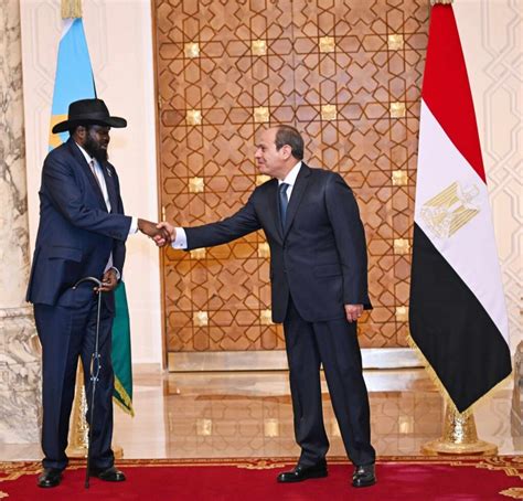 Egypt South Sudan To Intensify Efforts To Solve Sudanese Crisis Radar Africa