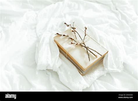 Spring Is Coming Reading Concept With Vintage Books On White Background With Pussy Willow Twig