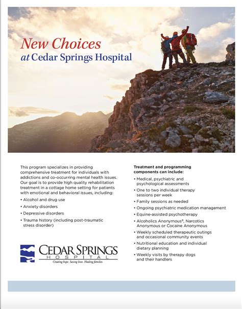 New Choices At Cedar Springs Hospital - Colorado JCF