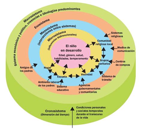Que Plantea El Modelo Ecologico De Bronfenbrenner Mobile Legends