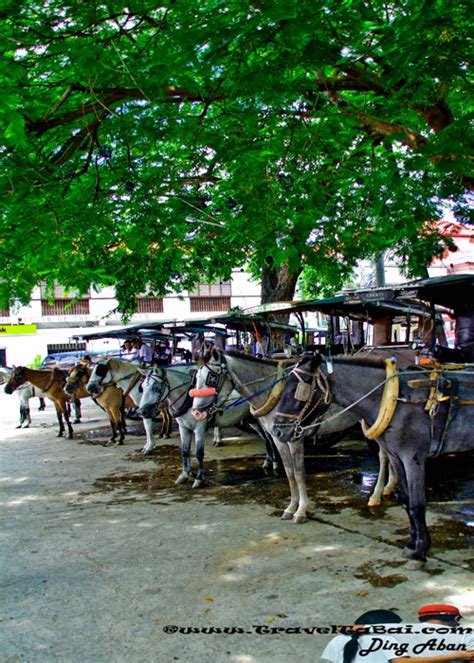 Ilocos Sur: Vigan City the Heritage Village