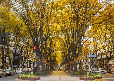 Visiting Sendai In Autumn Travel And Weather Guide For September