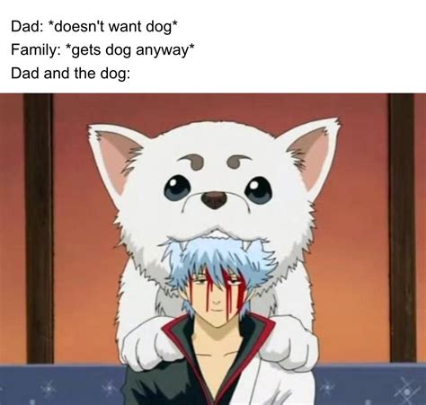 love 4 sadaharu : Gintama