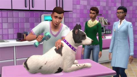 The Sims 4 Cats & Dogs: Sims Camp Gameplay Overviews (LIST) | SimsVIP