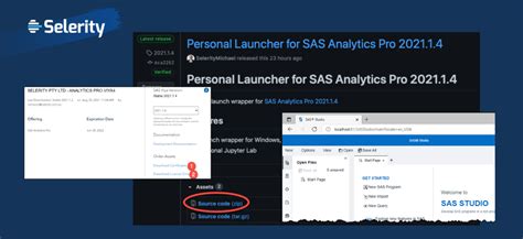 Cloud Native Sas Analytics Pro For Your Desktop Selerity