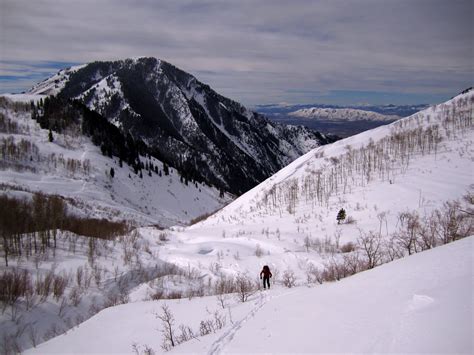 Andy Sherpa Provo Peak Highway Line