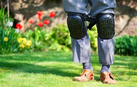 A Comprehensive Guide to Gardening Knee Pads | For Comfort & Protection | Leading Lifestyle