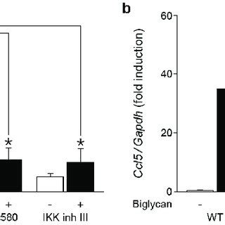 Lps Stimulated Macrophages Secrete Il And Il Both Of Which Induce