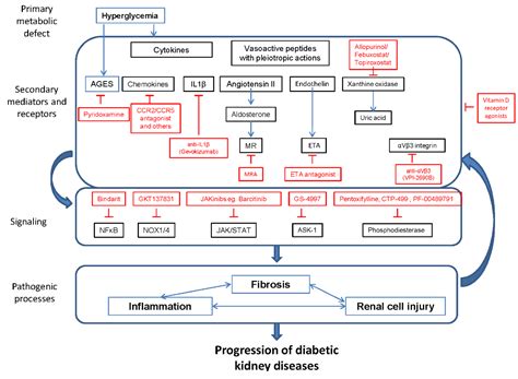 Horizon 2020 in Diabetic Kidney Disease: The Clinical Trial Pipeline