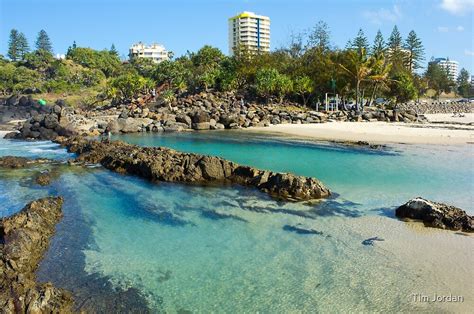 "Snapper Rocks Swimming Lanes" by Tim Jordan | Redbubble