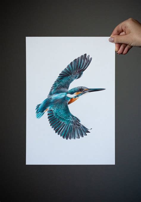 River Kingfisher Photorealistic Portrait Drawing Drawing By Daria