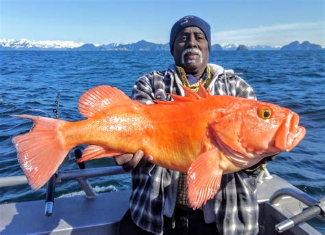 Summertime Saltwater Alaska Fishing Adventures - Soldotna B&B Lodge